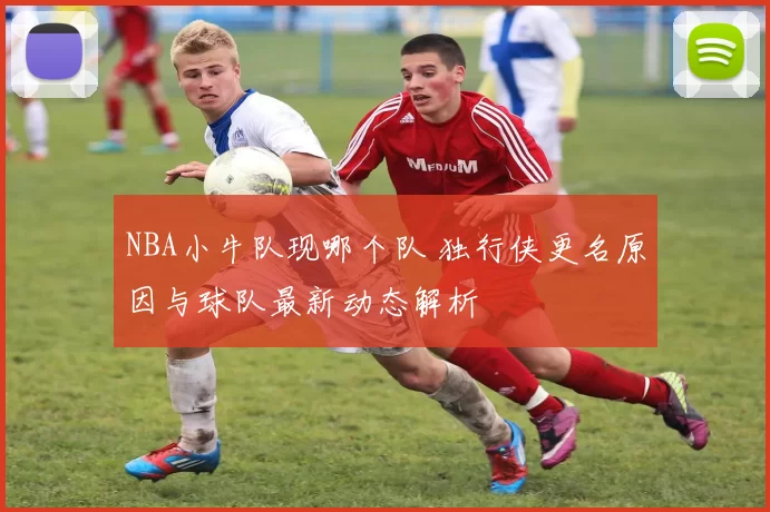 NBA小牛队现哪个队 独行侠更名原因与球队最新动态解析