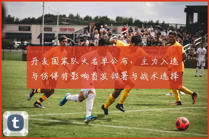 丹麦国家队大名单公布，主力入选与伤停将影响首发部署与战术选择