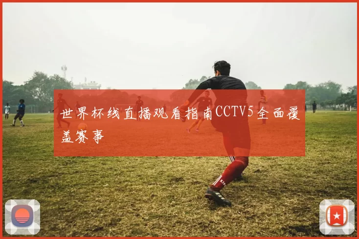世界杯线直播观看指南CCTV5全面覆盖赛事