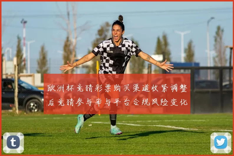 欧洲杯竞猜彩票购买渠道收紧调整后竞猜参与率与平台合规风险变化