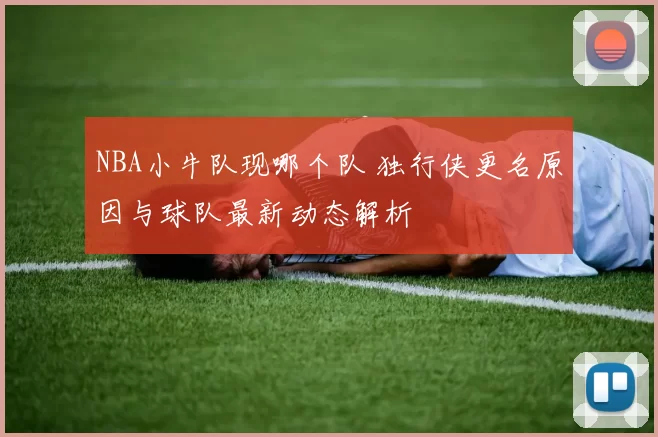 NBA小牛队现哪个队 独行侠更名原因与球队最新动态解析