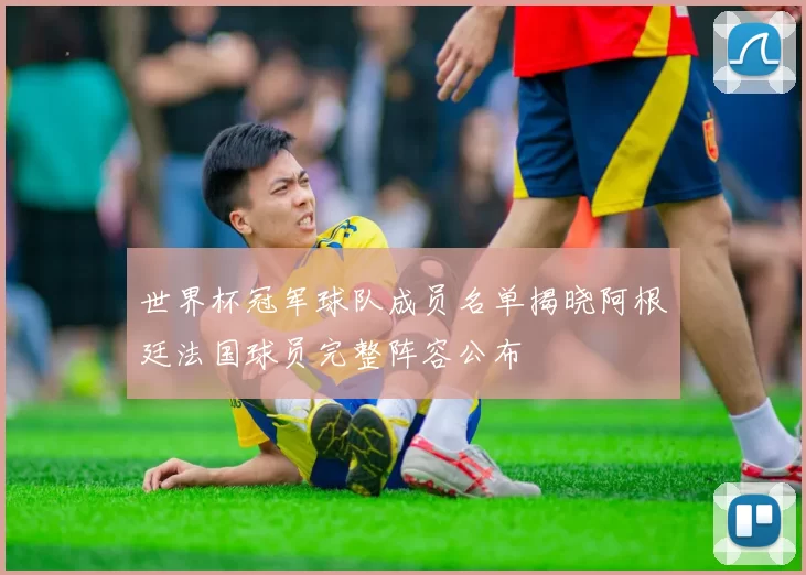 世界杯冠军球队成员名单揭晓阿根廷法国球员完整阵容公布