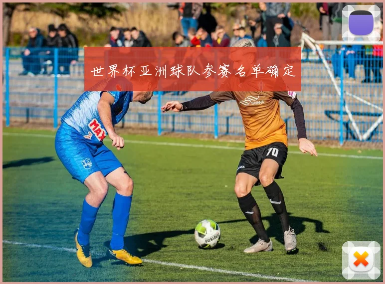 世界杯亚洲球队参赛名单确定