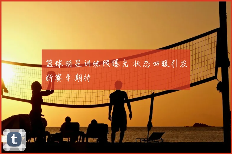 篮球明星训练照曝光 状态回暖引发新赛季期待