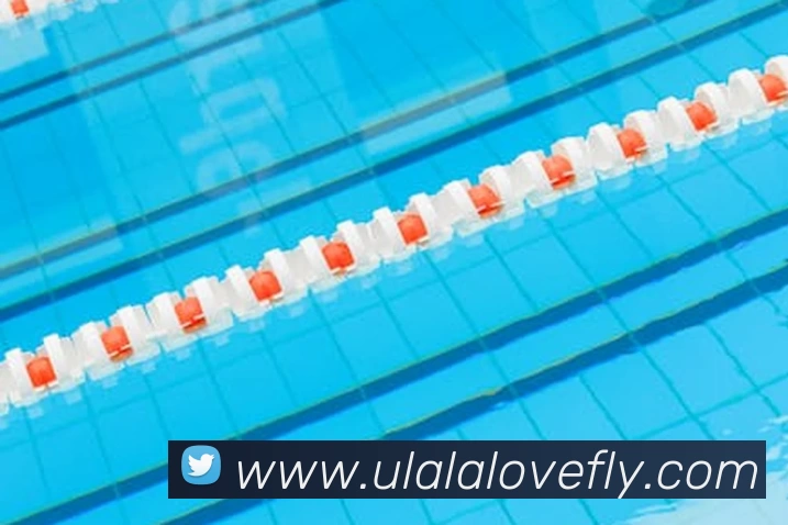 星空体育服务体系